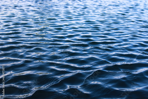 Water Ripples