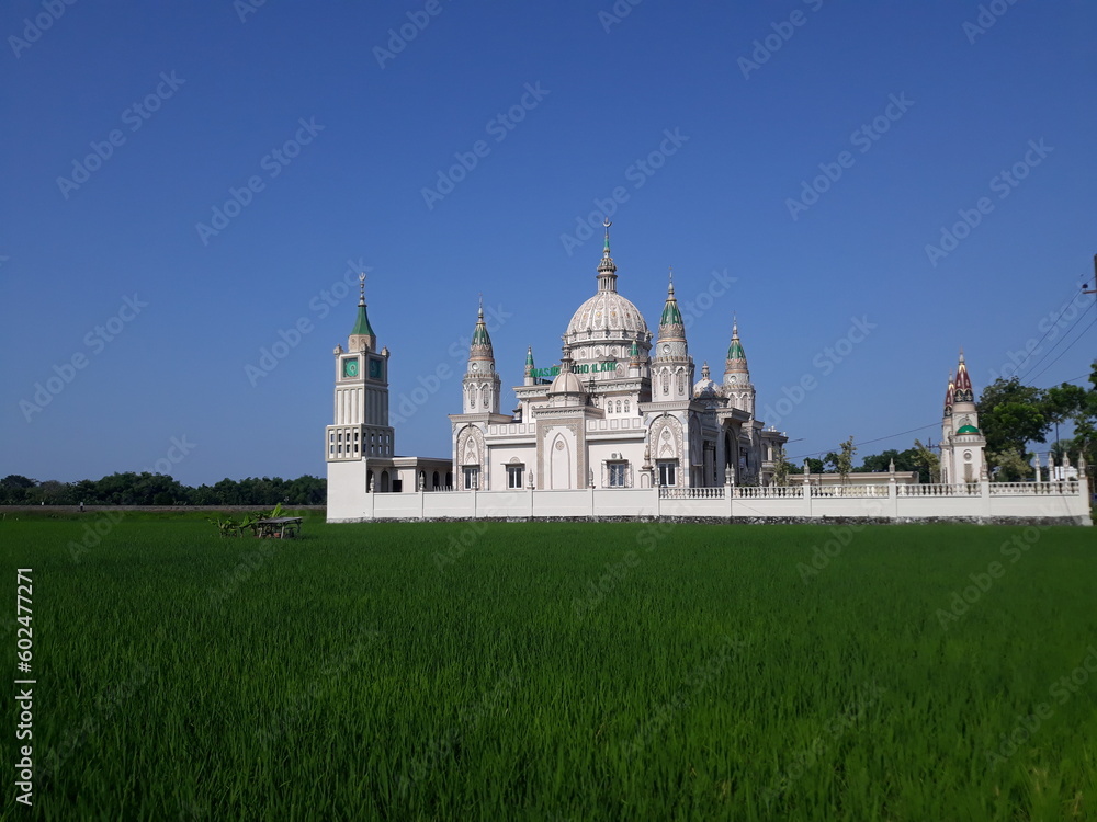 exotic cultural and religious architectural buildings. a mosque is a place of worship for Muslims or Islam.  in the middle of a green paddy rice field