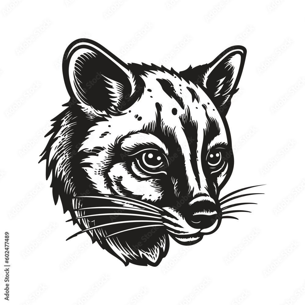 civet, vintage logo line art concept black and white color, hand drawn illustration