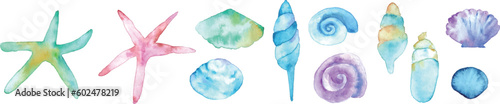 水彩画。水彩タッチの夏の貝殻ベクターイラスト。ヒトデや貝の背景フレーム。Watercolor painting. Summer seashell vector illustration with watercolor touch. Background frame of starfish and shells.
