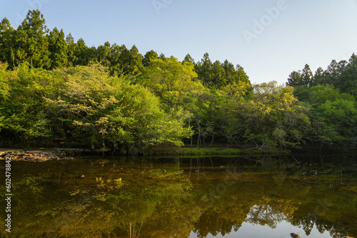 Lakeside surrounded by a secluded and beautiful forest