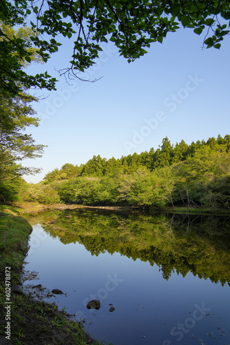 Lakeside surrounded by a secluded and beautiful forest