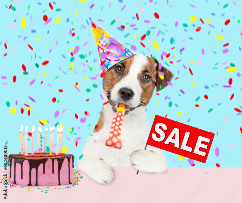 Naklejka premium jack russell terrier puppy wearing sunglasses and party cap blows into party horn and showing signboard with labeled 