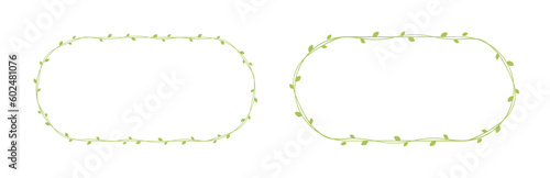 Green vine frames and borders set, floral botanical design element vector illustration