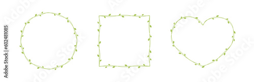 Green vine frames and borders set, floral botanical design element vector illustration