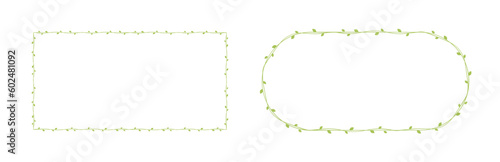 Green vine frames and borders set, floral botanical design element vector illustration