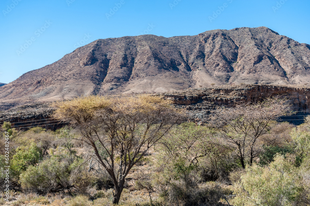 Landscape shot of the Namibian Desert between Windhoek and sesriem