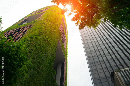 Photography Modern building with green walls