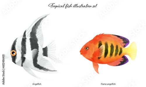                                           Tropical fish illustration material set
