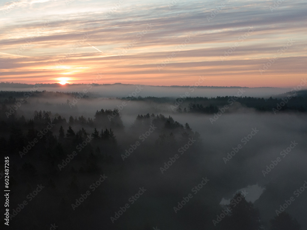Morning Mist: Aerial View of Enchanting Forest Landscape at Sunrise in Northern Europe
