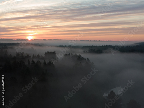 Morning Mist  Aerial View of Enchanting Forest Landscape at Sunrise in Northern Europe