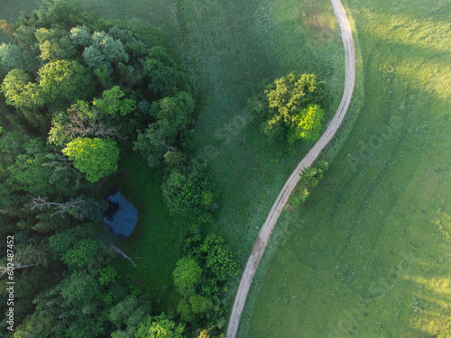 Rising Above the Beauty: Aerial View of Serene Green Pastures, Trees and Gravel Road During Sunrise with Drone in Northern Europe © dachux21