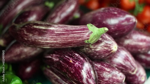 Wallpaper Mural Closeup of fresh purple striped eggplants stacked on counter in grocery store. Organic vegetables. Healthy natural vegetarian product concept Torontodigital.ca