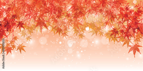 紅葉　もみじ　秋　背景