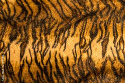 Beautiful tiger fur pattern texture background.