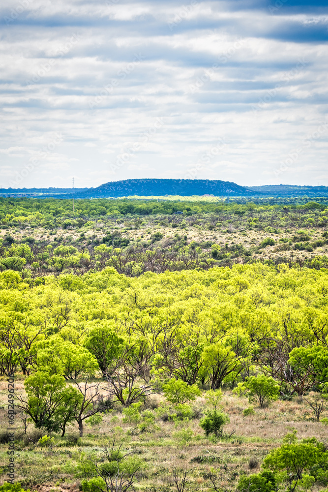 A picturesque landscape of rolling hills, lush grasslands and a distant horizon stretch across the natural beauty of San Angelo State Park in Texas.