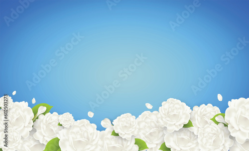 white jasmine Flower blue background for greeting card, advertising, website, flyers, posters, sale announcement.