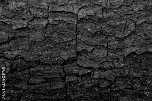burnt wood texture. cracked tree trunk charcoal is black