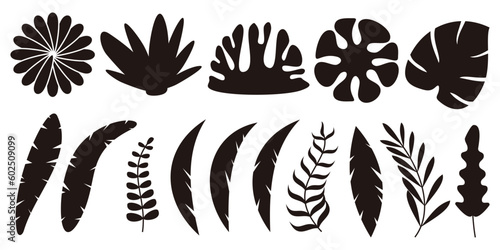 plant  leaf  flower icon set. silhouette flat design  summer vector ornament.