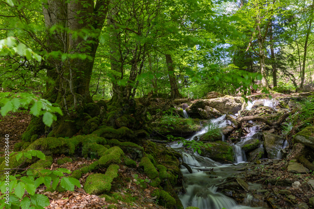 Bachlauf der Stürmke im Sauerland mit Buchenwald und Wasserfall Bachlauf der Stürmke im Sauerland mit Buchenwald und Wasserfall