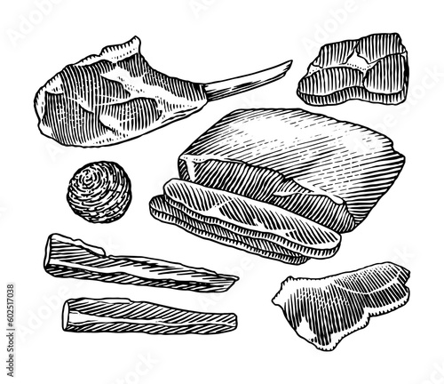 Red meat products. Veal beef, ribs, Bacon, jamon, mortadella, lamb beef Steak, pork sausage, sirloin, brisket Butchery food Hand drawn Vintage sketch. Products for label, restaurant menu