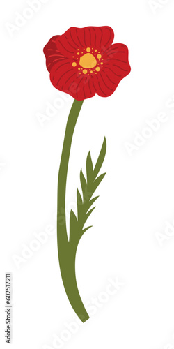 Poppy Flower Element Illustration. Vector red poppies are isolated on a white background.