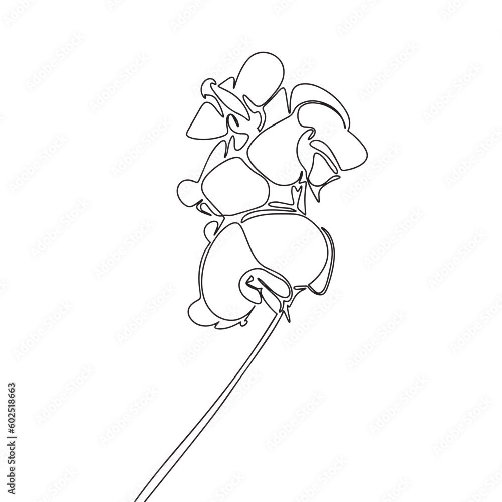 One continuous line illustration of Orchid. Continuous line drawing of flower orchid home plant. Vector illustration. One continuous line illustration of Orchid. Continuous line drawing of flower orchid home plant. Vector illustration.
