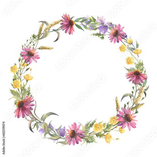 Floral wreath. Watercolor field flower round frame. Wildflowers isolated on white background. Meadow flowers circle border