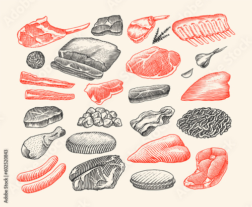 Red meat products. Veal beef, ribs, Bacon, jamon, mortadella, lamb beef Steak, pork sausage, chicken legs, sirloin, brisket Butchery food Hand drawn Vintage sketch. Products for label, restaurant menu