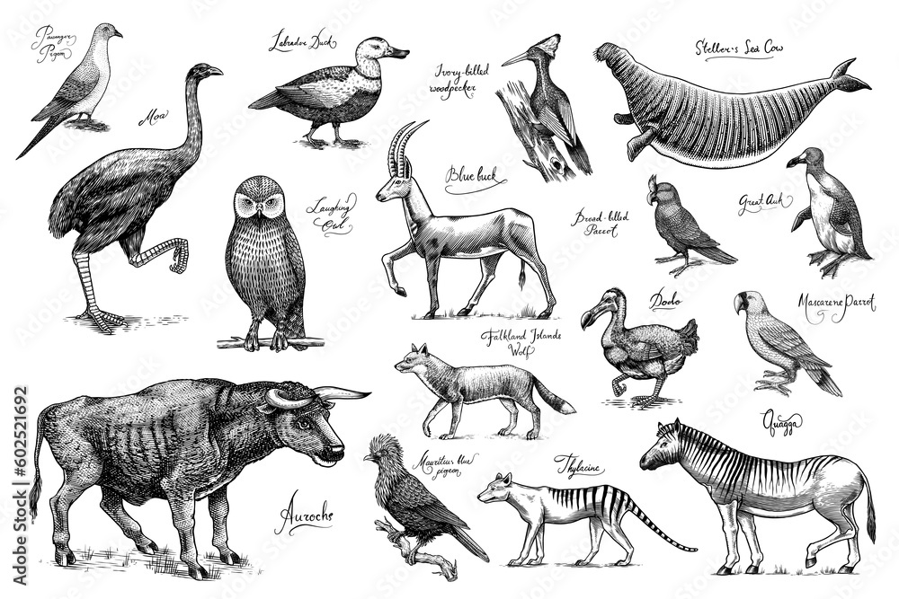 Extinct species. Wild mammal animals and birds. Dodo, Moa, Tasmanian