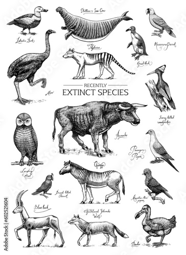 Extinct species. Wild mammal animals and birds. Dodo, Moa, Tasmanian wolf, Quagga. Aurochs. Blue antelope. Hand drawn vector engraved sketch. Graphic vintage style. 