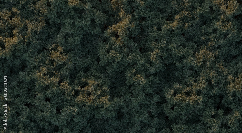 trees in the forest, top view, area view, 3D illustration, cg render trees in the forest, top view, area view, 3D illustration, cg render