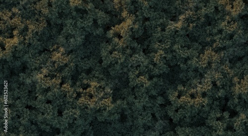 trees in the forest, top view, area view, 3D illustration, cg render