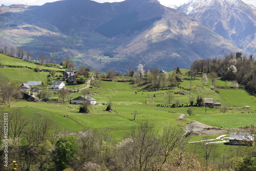 ¨Pyrénées - France