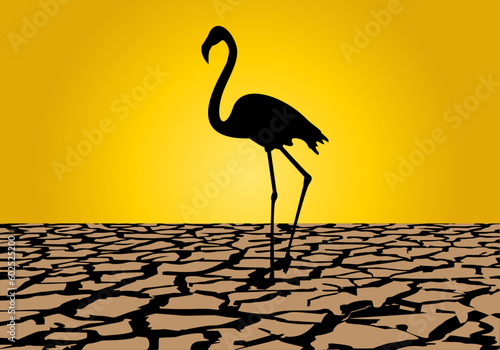 Sequía. Silueta negra de flamenco sobre tierra agrietada y sol de fondo. Crisis climática. Cambio climático. Ola de calor. Desastre natural photo
