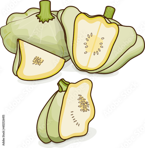 Whole, half, quarter of White Patty Pan squash or Scallop or Scallopini squash. Summer squash. Cucurbita pepo. Fruits and vegetables. Cartoon style. Vector illustration isolated on white background.