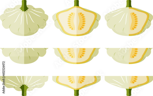 Set of White Patty Pan squash or Scallop or Scallopini squash. Summer squash. Cucurbita pepo. Fruits and vegetables. Flat style. Vector illustration isolated on white background.