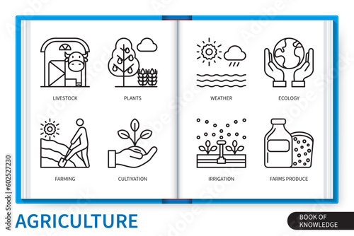 Agriculture infographics linear icons collection