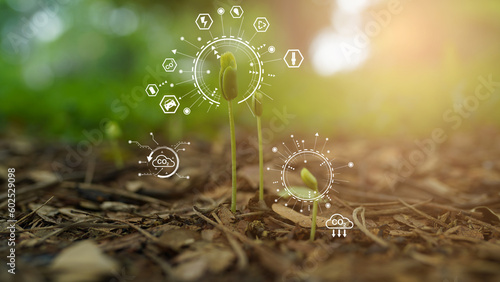 Seedling with bubble of eco icon with green nature background. Clean environment, Solution of Air and Environment pollution concept.