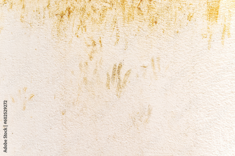 Cat footprints on cream paint concrete wall.  Dirty old cement wall with cat paw print stain.   