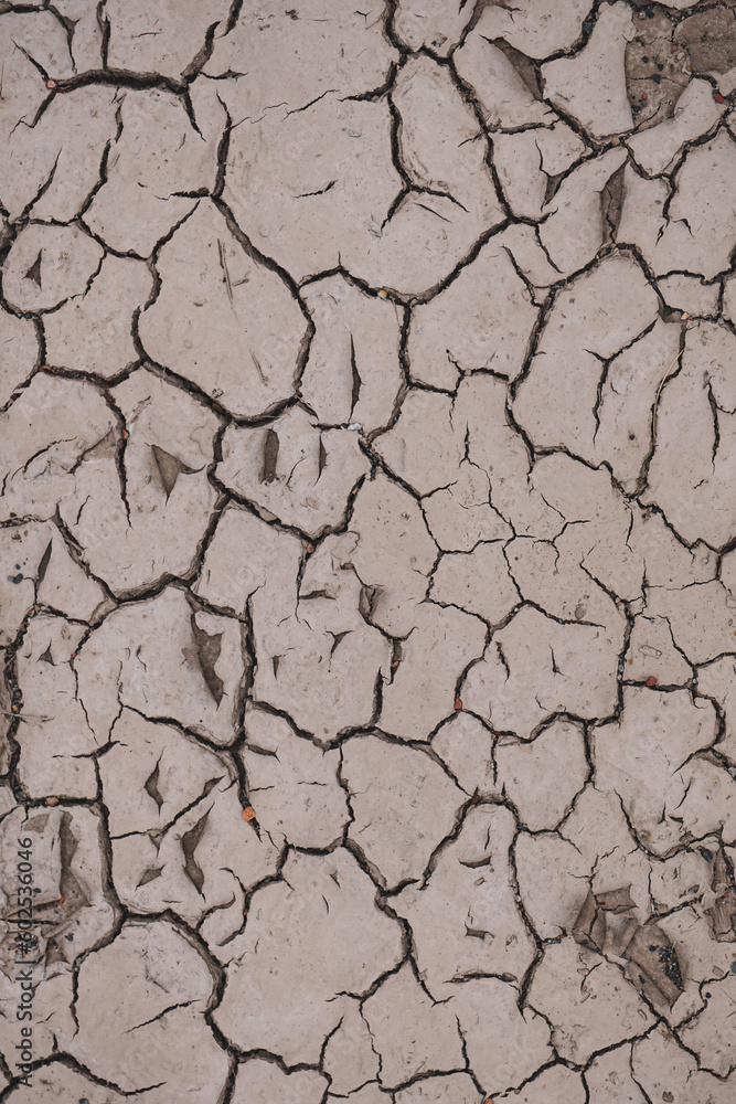 Fototapeta premium dry ground in the nature, global warming, climate change
