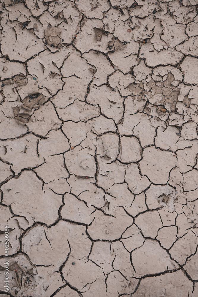 Fototapeta premium dry ground in the nature, global warming, climate change