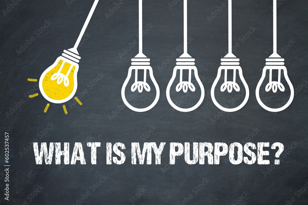 Fototapeta premium What is my purpose?