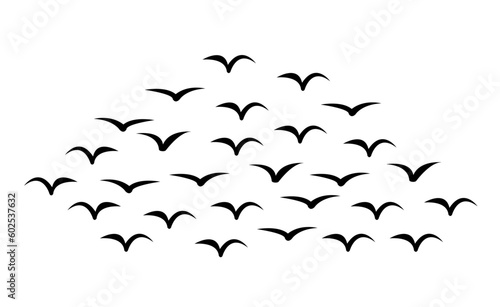 Silhouettes of birds