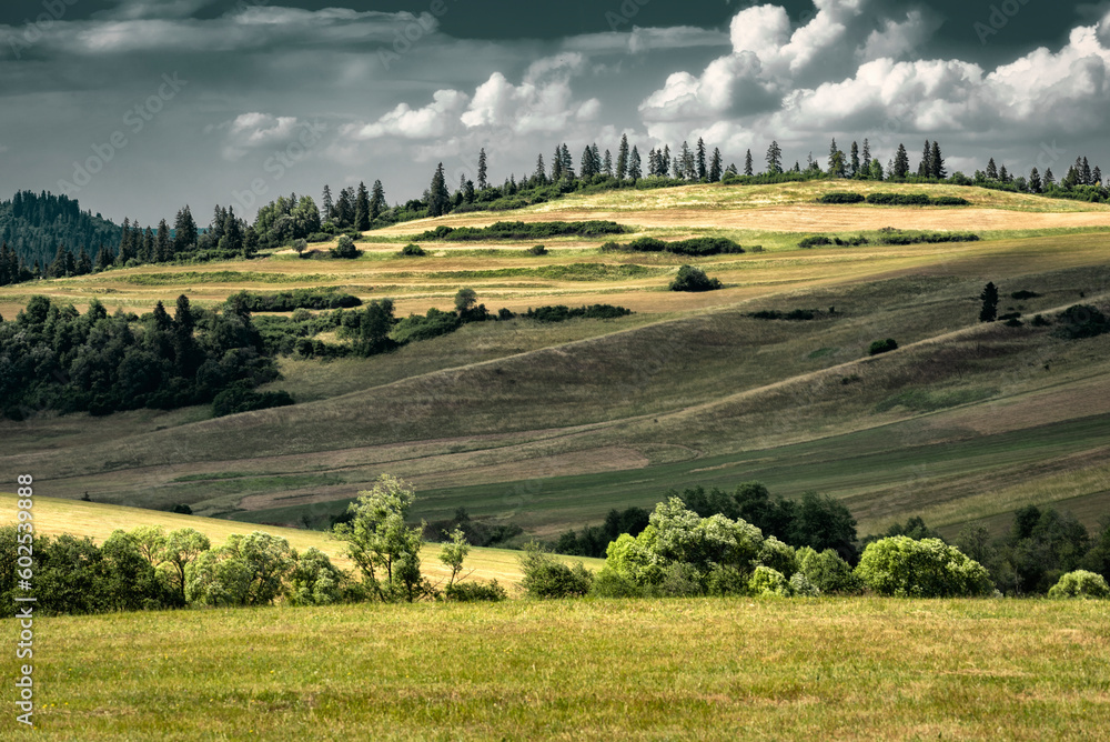 Fototapeta premium landscape in region