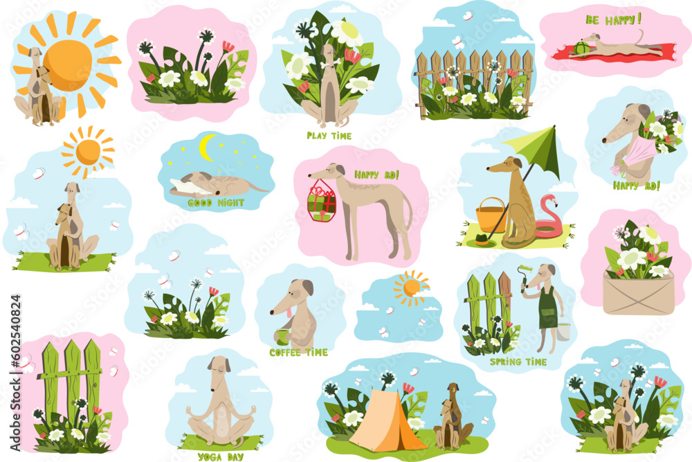 A set of pictures with a Greyhound. Dogs and nature, yoga, coffee, camping, birthday, games. Stickers, clipart