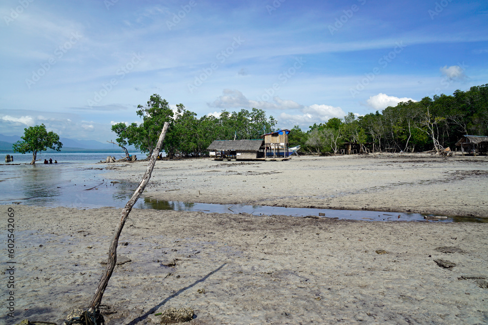 pristine beach in puerto princesa on palawan island pristine beach in puerto princesa on palawan island