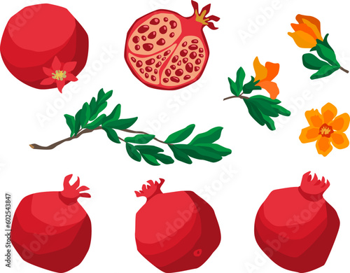 Flat style vector set of pomegranate fruits illustration with leaves and flowers on white background