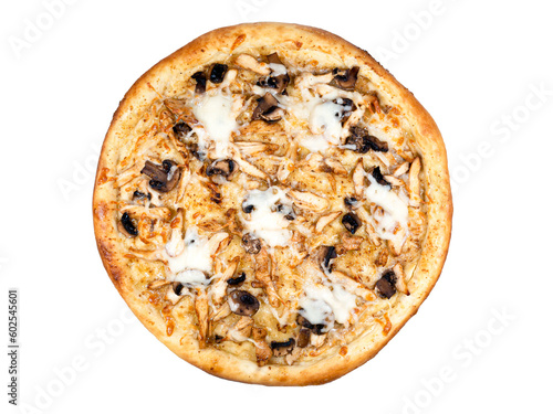Pizza with cheez and mushrooms isolated on white background photo