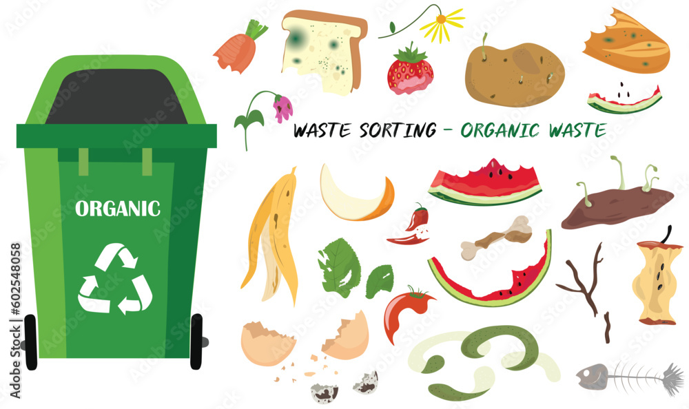 Organic garbage with leftover food, fruit peel, apple core, egg shell, bone, moldy bread, sprouting potato. Green lifestyle. Decomposable waste. Cartoon vector isolated on white  - obrazy, fototapety, plakaty 